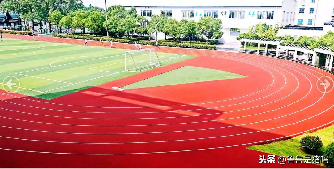 苏州有哪些五年一贯制学校,苏州园区九年一贯制学校排名