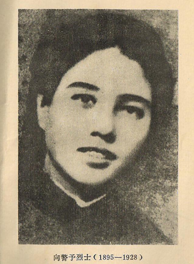 曾出钱为毛*东泽**定做球衣，陶斯咏：润之气质让我难以忘却