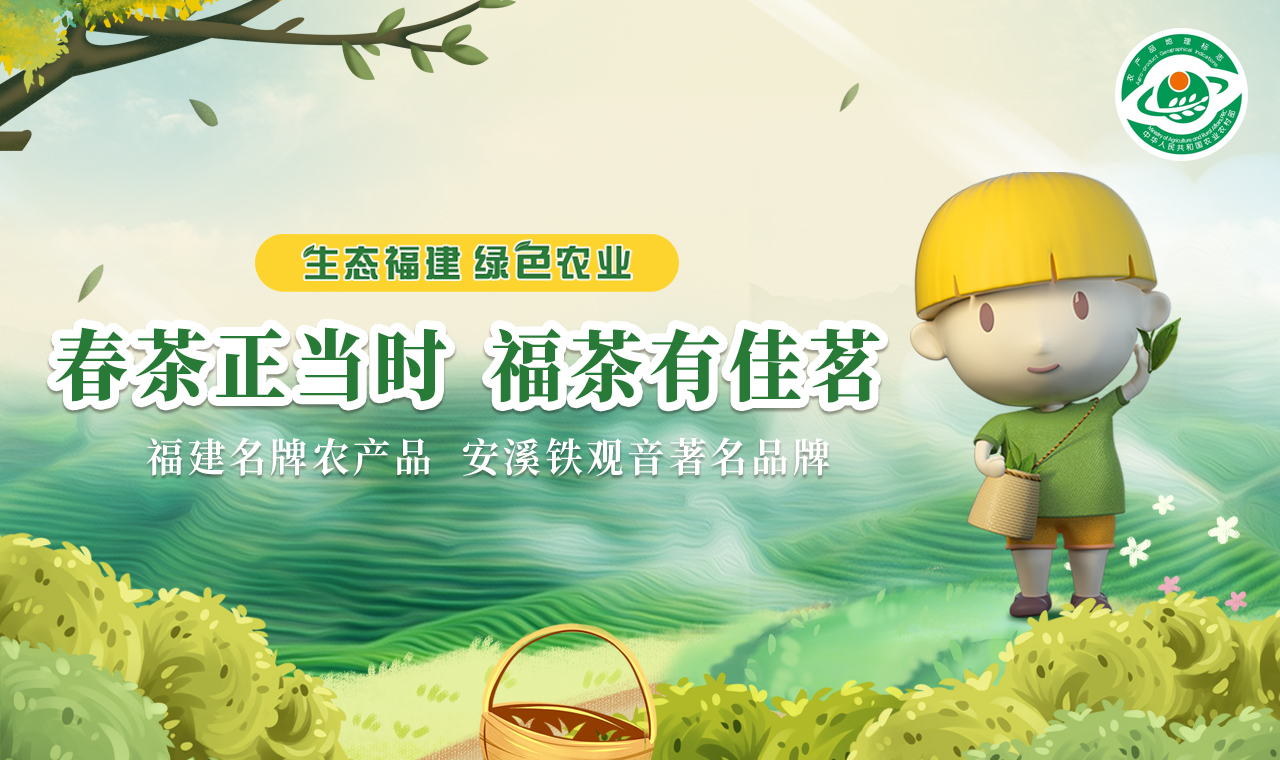 安溪铁观音茶好评第一名,安溪铁观音茶叶复购第一名