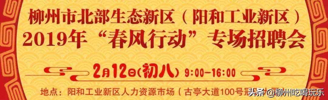 月薪过万不是梦只需要努力,月薪过万不是梦完整版