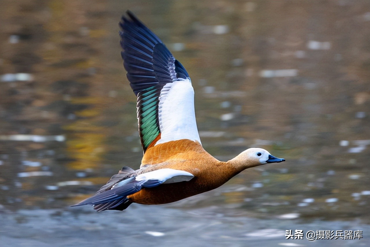 佳能eosr跟rp哪个好,佳能eosrp深度测评