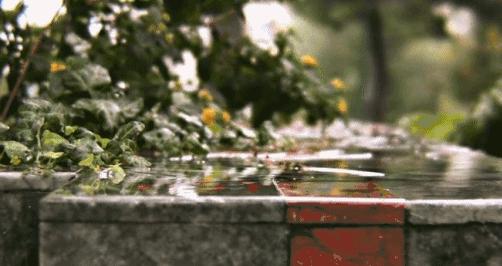 初夏听雨完整版原唱,初夏听雨抖音