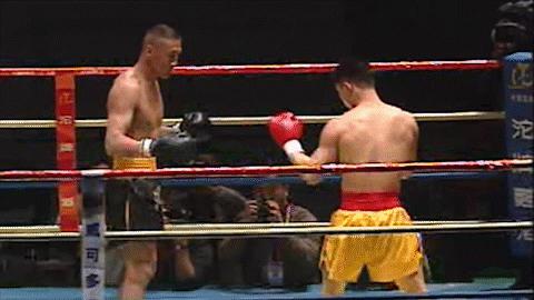 散打王一战成名,中国散打王腿法集锦