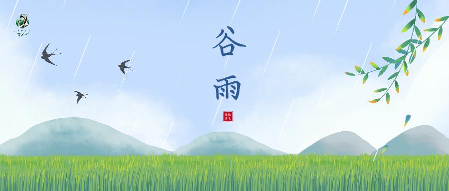 谷雨节气适合喝什么茶,谷雨过后喝什么茶最好