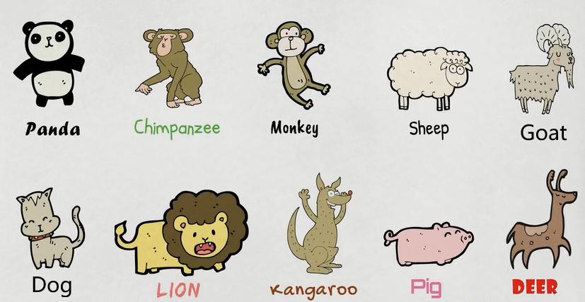 描述动物特征的英文词汇,动物英文词汇1000词