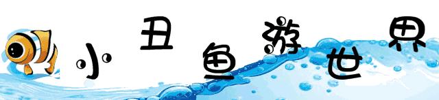 福建邵武的云灵山漂流惊险,邵武云灵山漂流水世界