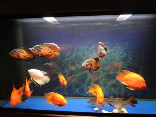 水质有点黄怎么处理,水质黄浊怎么处理最好