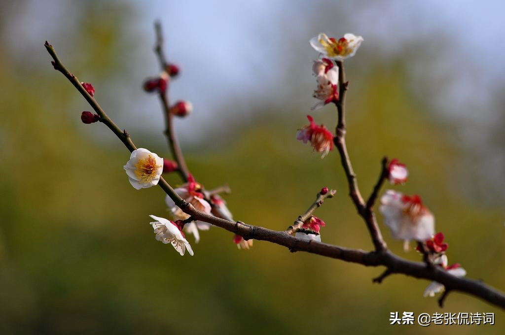 关于王维的十首羁旅思乡诗,王维边塞诗50首