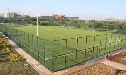 潍坊球友,潍坊哪里有球踢