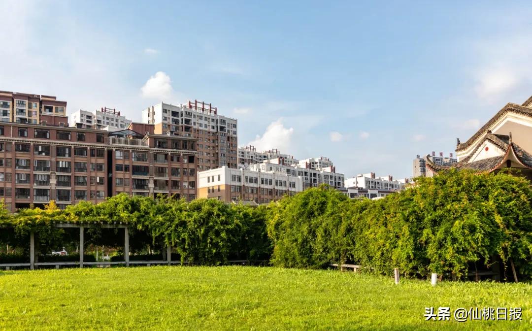 大美仙桃，未来可期