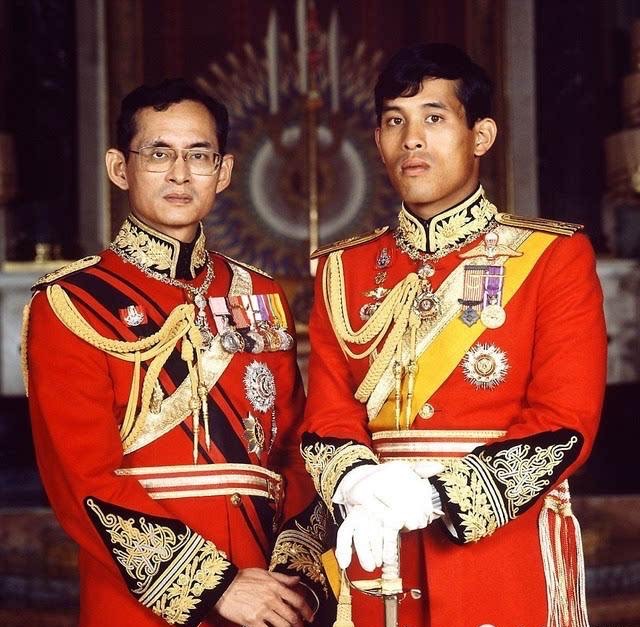 泰王带了几个妃子,泰王带20个嫔妃出游度假