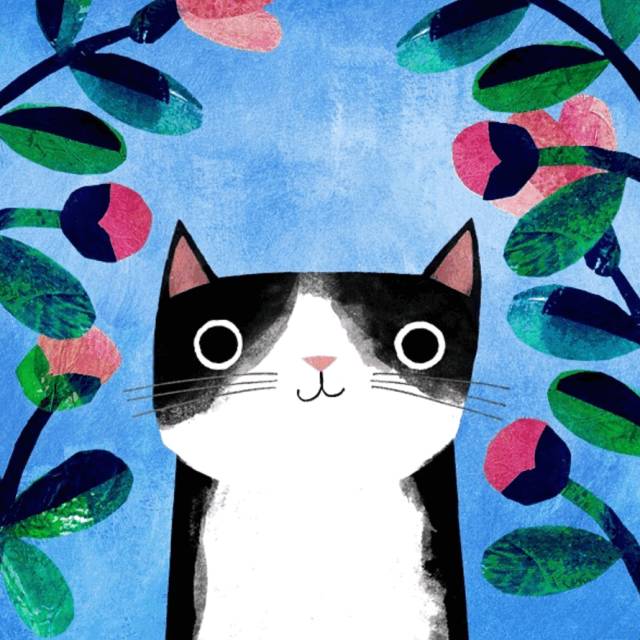 姑娘1天画1只猫坚持了100天 (坚持画猫100天的姑娘太有才了)