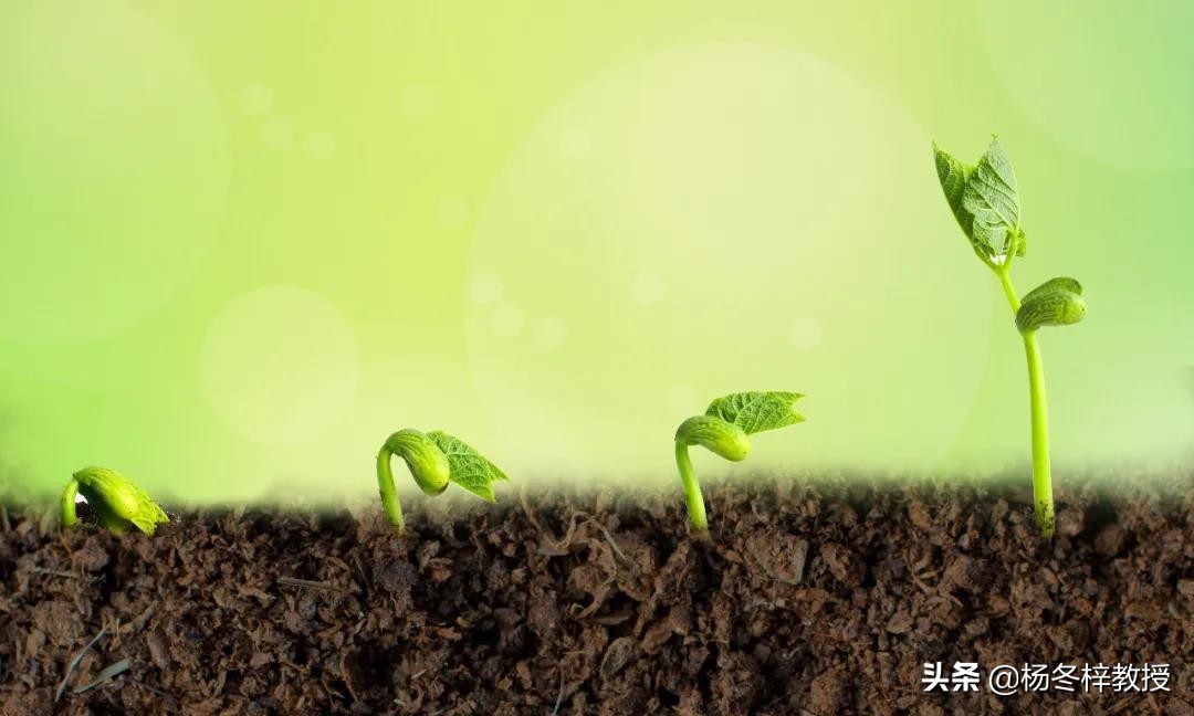 子宫内膜厚不利于胚胎着床,胚胎着床失败会小腹痛吗