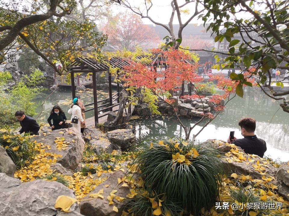 十一国庆苏州景区免费开放,苏州旅游最值得去的十个免费景区