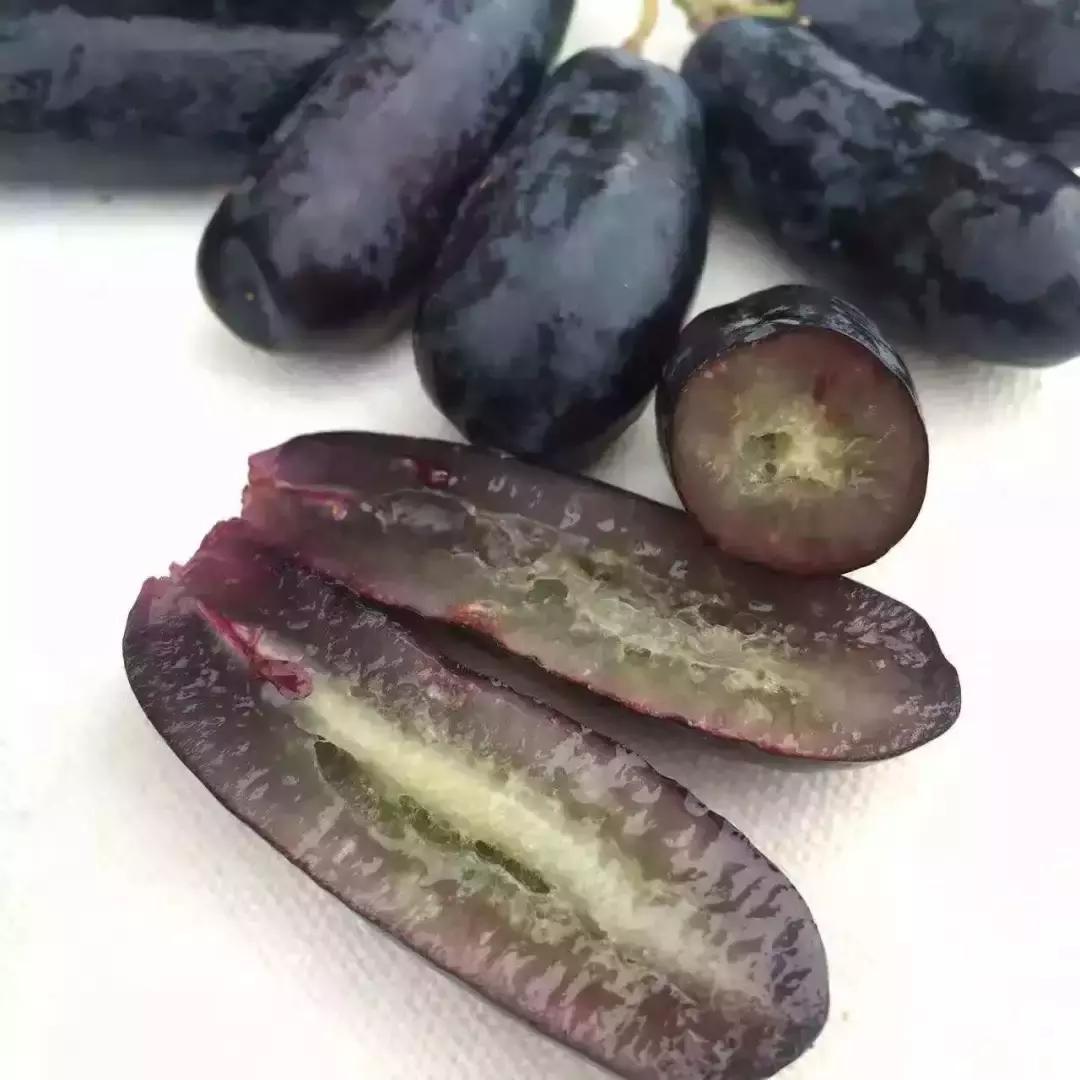 葡萄界“网红”：果子50元一斤，种苗百元一颗的背后竟隐藏着...