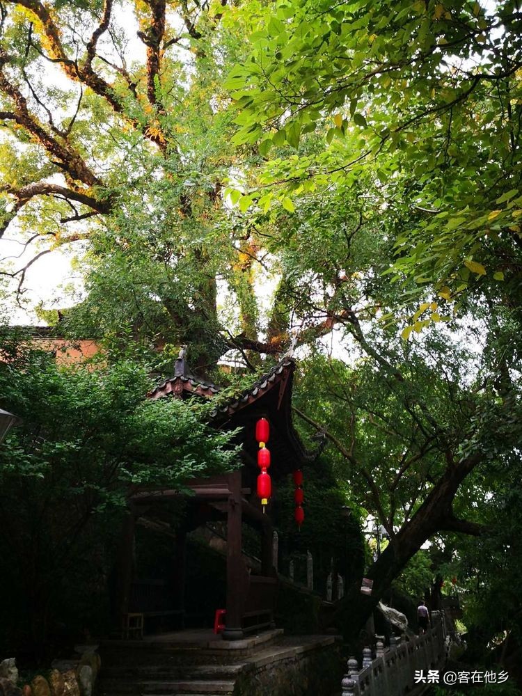 长汀县古街印象土特产,长汀古城异域风情