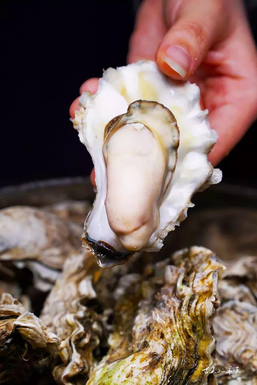 宁波生蚝店铺推荐,宁波高压锅生蚝龙虾