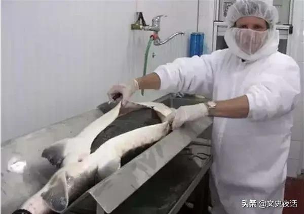 中国狗肉历史记录,吃中国狗肉的传统