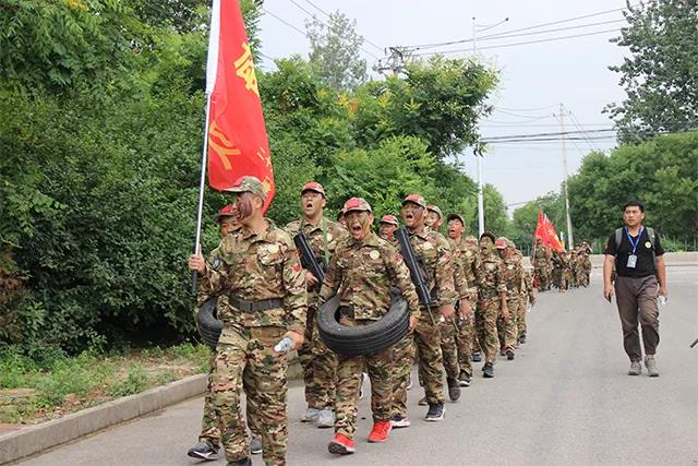 卓训教育是什么,卓训教育最新视频