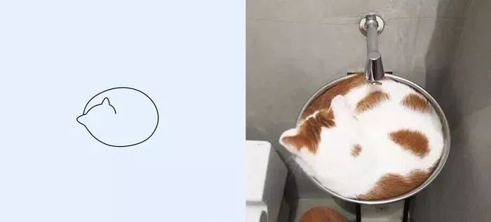 你和大触绘画的区别：一看就会一画就废，这波动物简笔画太形象了