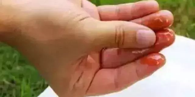 使用假机油的六大危害,辨别假机油最有效的方法