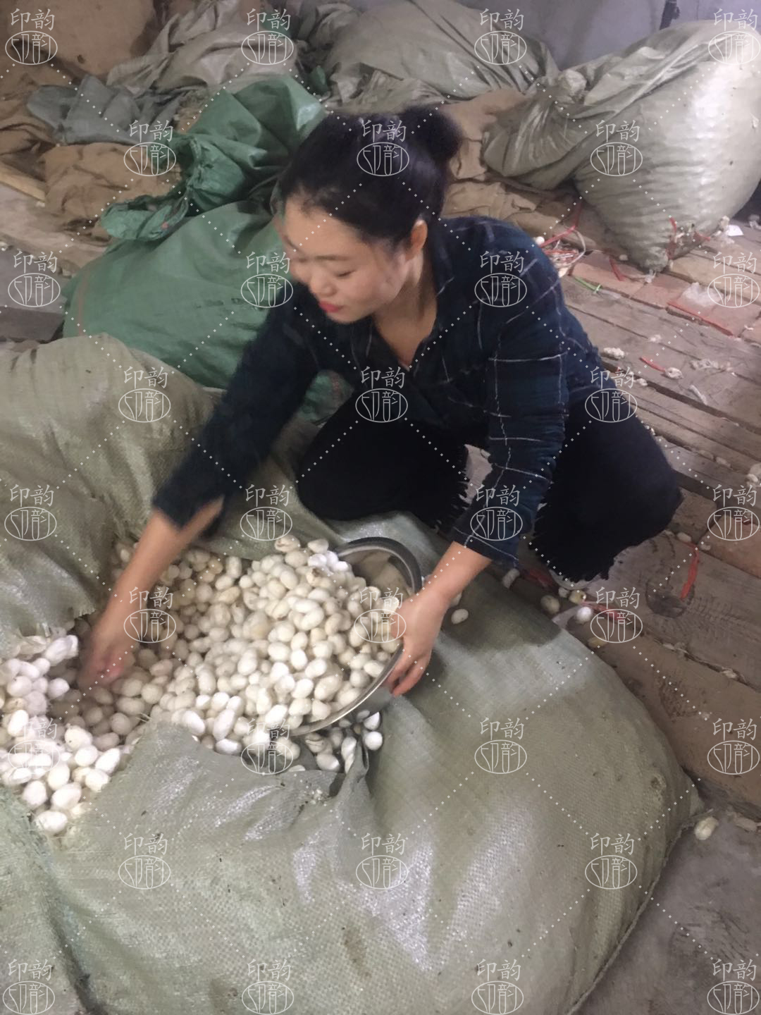 小朴妹家：从蚕茧到蚕丝被，传统手工蚕丝被的加工流程