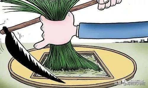 餐饮培训赚钱模式,加盟餐饮培训机构挣钱吗