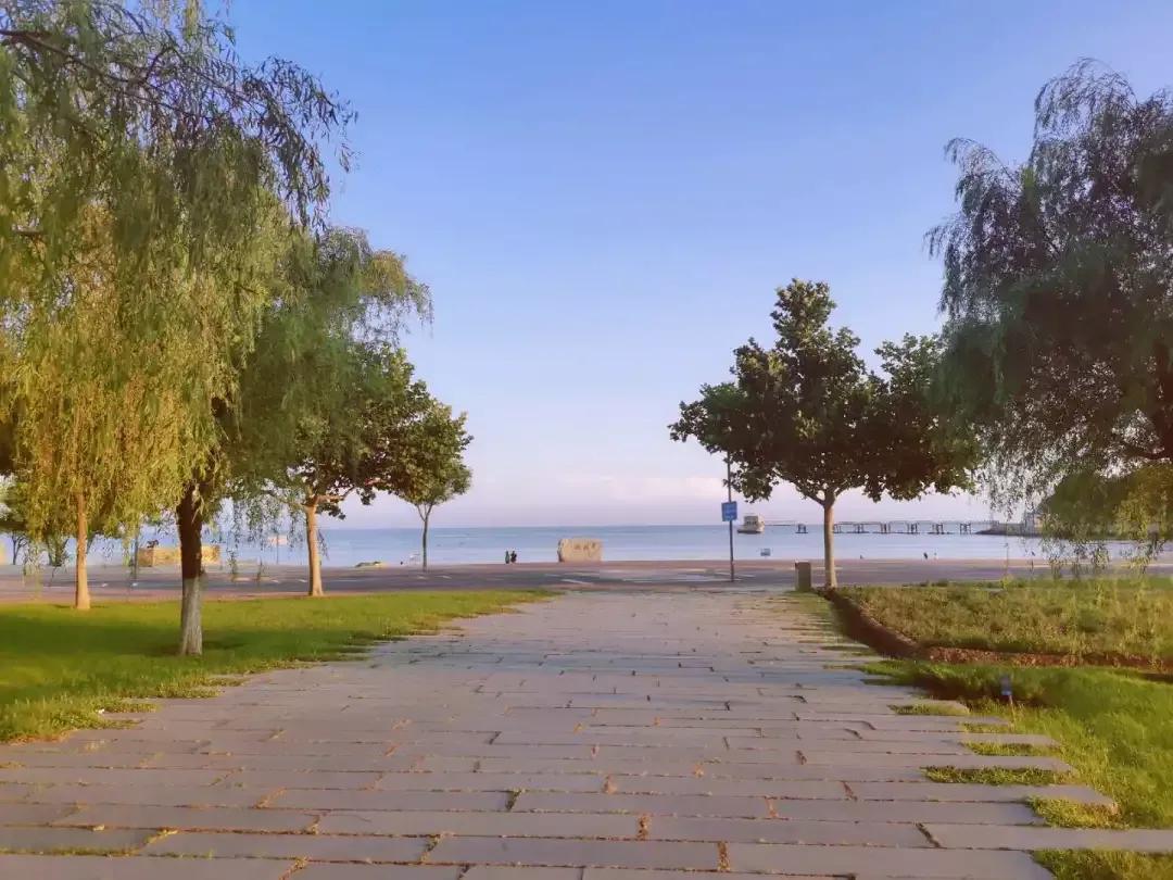 辽宁省高校（三十一）大连医科大学