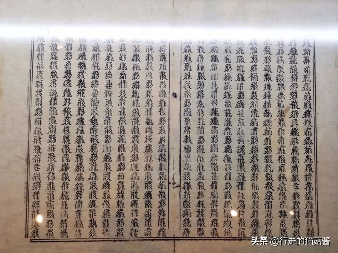 超出预期的大西北第一站，我要吹爆银川！吃玩住行全含