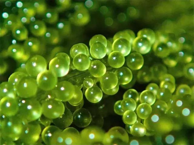 春回大地山清水秀,春回大地感受春的气息