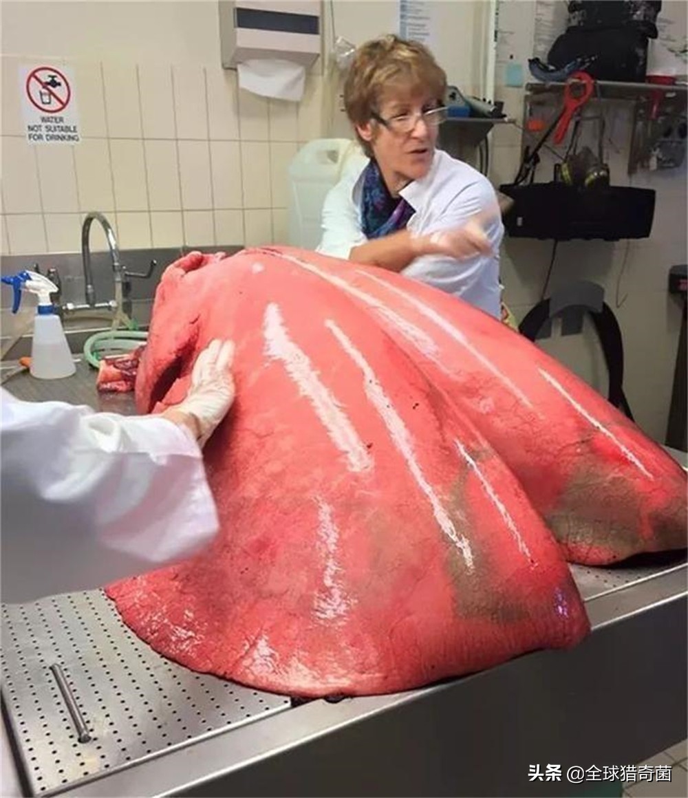 word一般字体大小是多少,word字体大小是多少