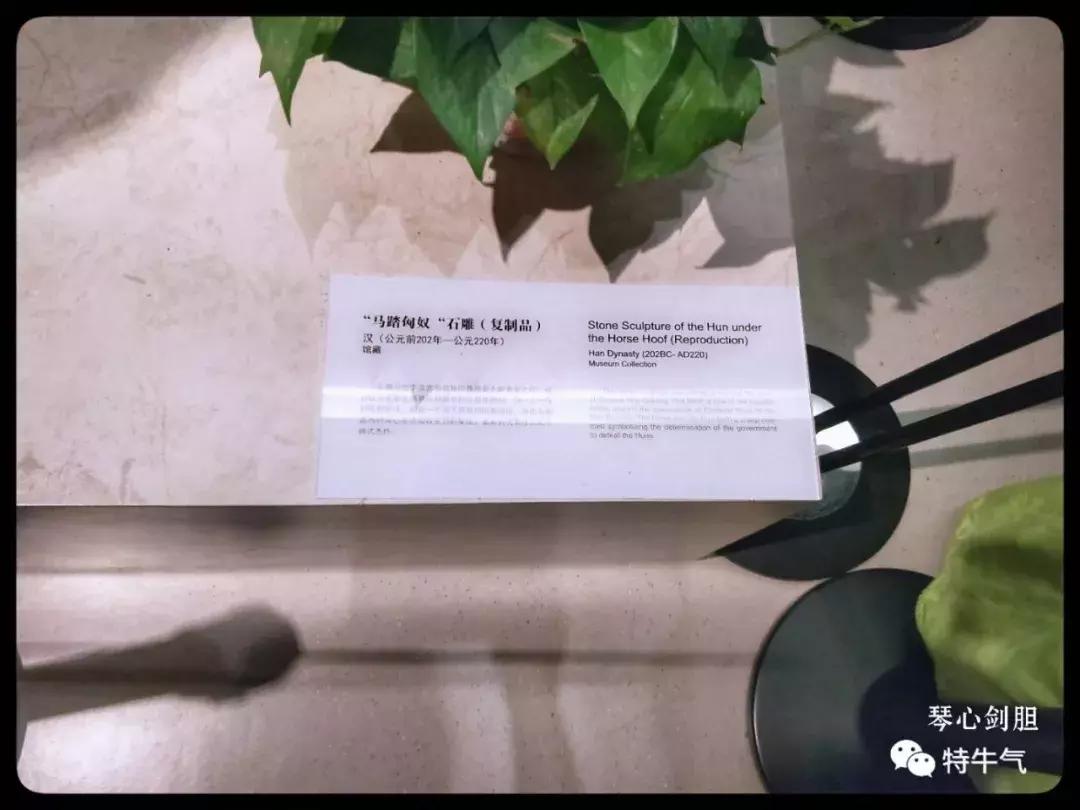 赤金走龙陕西历史博物馆,陕西历史博物馆抢票攻略