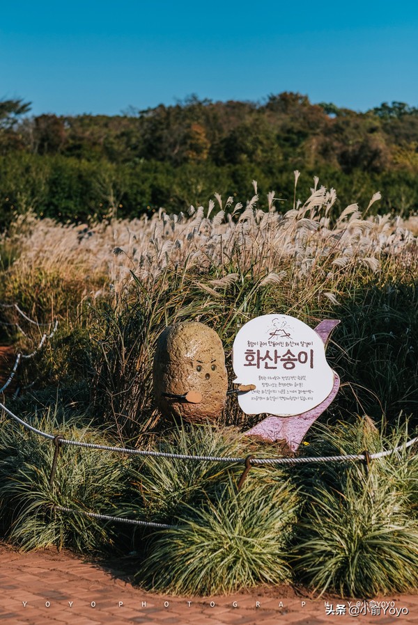 济州岛最值得去的地方,来济州岛第一天去哪玩