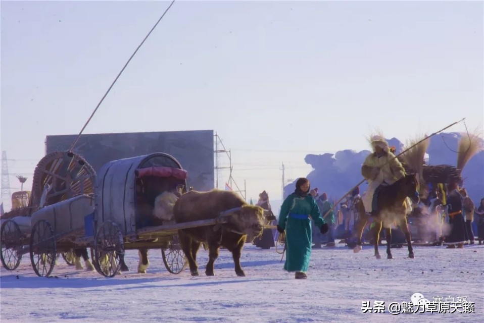 冬天的呼伦贝尔是这样的,今年呼伦贝尔的旅游