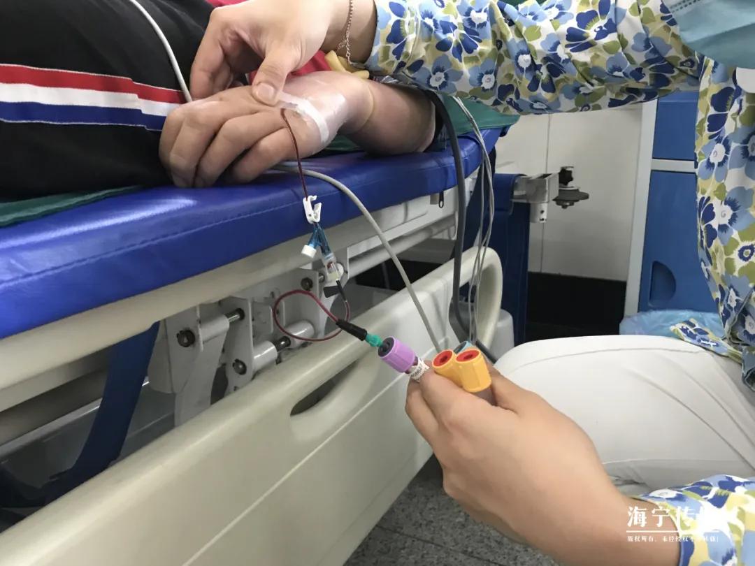 十大毒虫咬人后果,十大毒虫咬人了怎么办