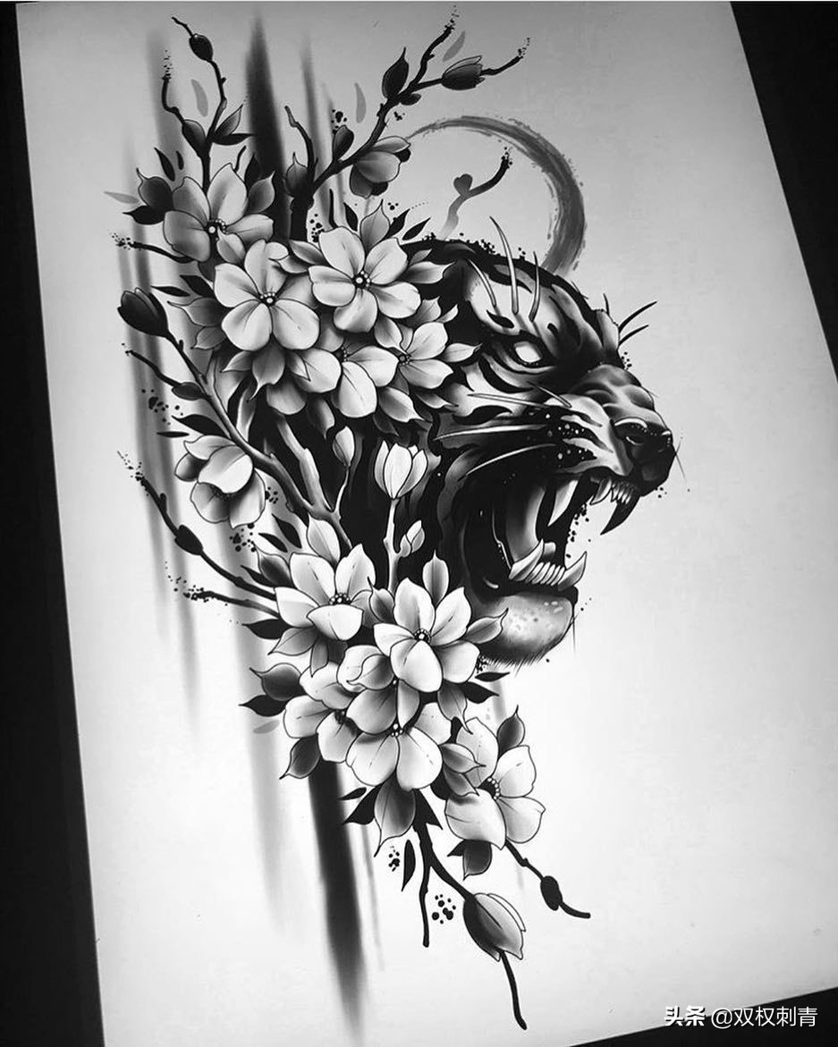 新传统老虎纹身手稿,满背老虎纹身手稿大全