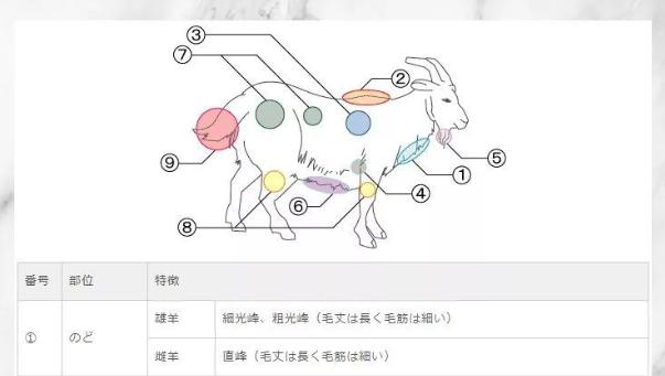 蓝蒂丝化妆刷哪套最适合新手,新手化妆刷推荐排行榜第一名