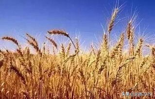 延期付款的实质,延期付款的定义