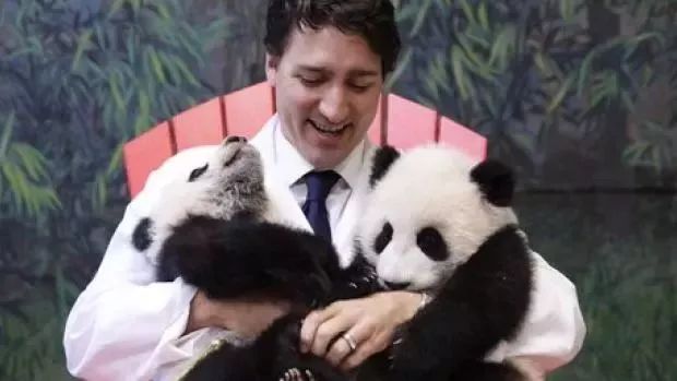 当年蚩尤坐骑,蚩尤的坐骑