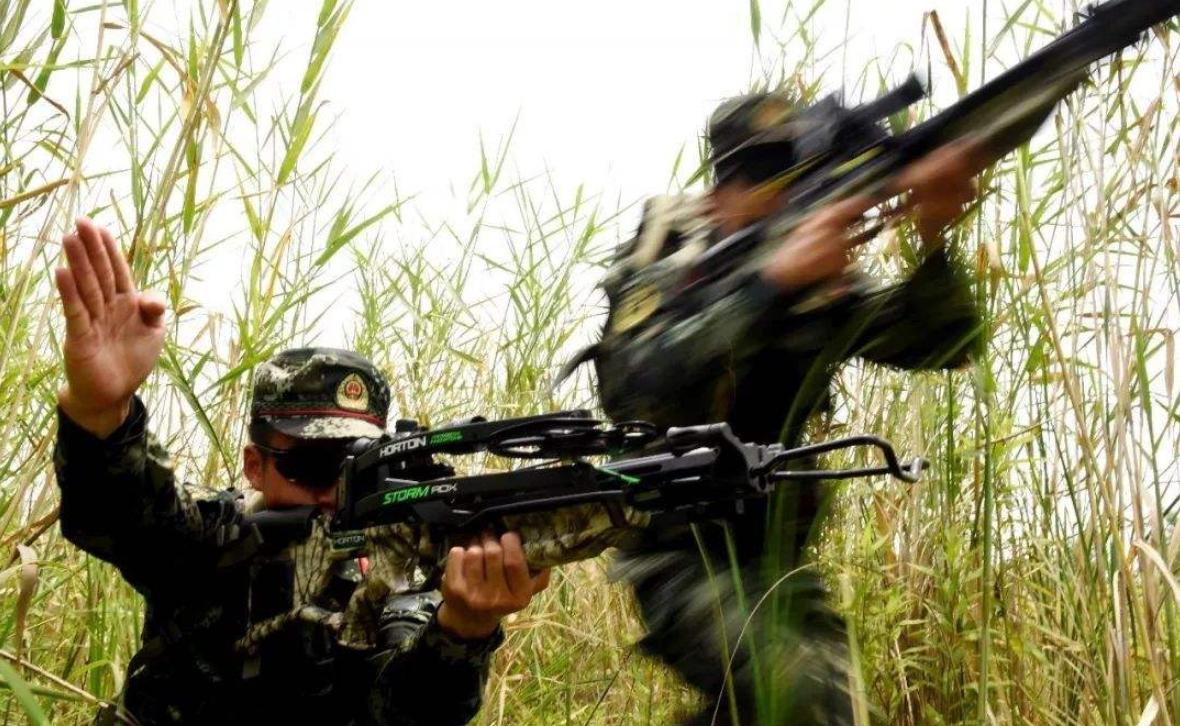 中国特种兵使用的十字弓弩，可一箭射碎水牛头骨，比95步枪还贵