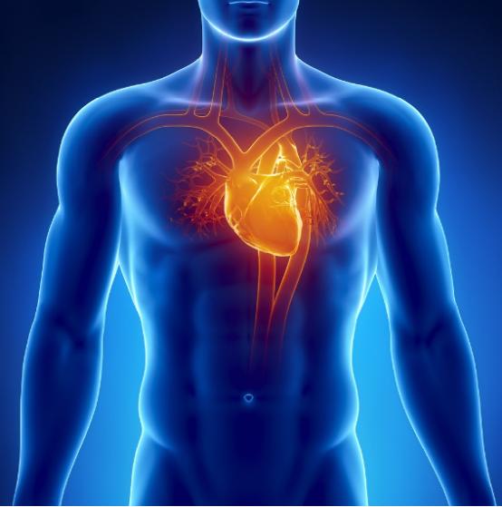 为什么我们会感到温暖,为什么我们会感觉到热和冷