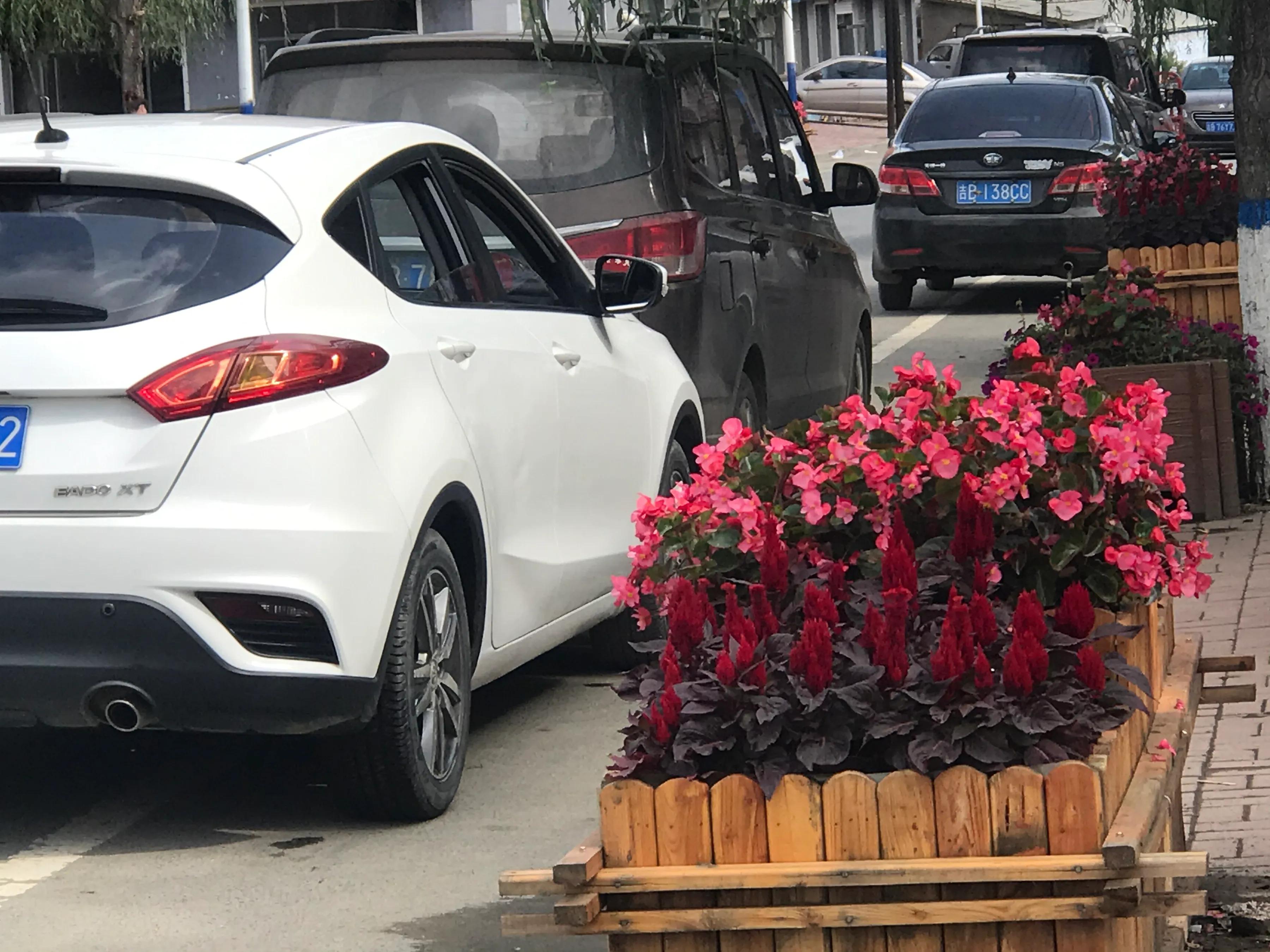 长白山脚下美丽的松山镇，因千岁的红豆杉而闻名