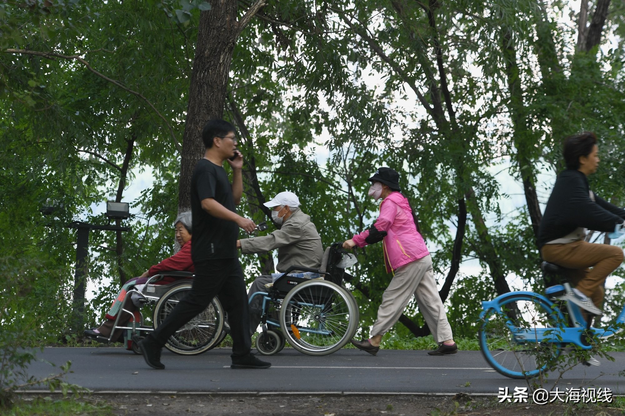 沈阳上演孝父敬母一幕任女士告诉你啥叫“我是你的腿”