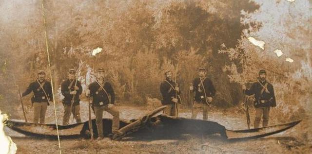 现实中拍摄到的翼龙,一百年前翼龙照片