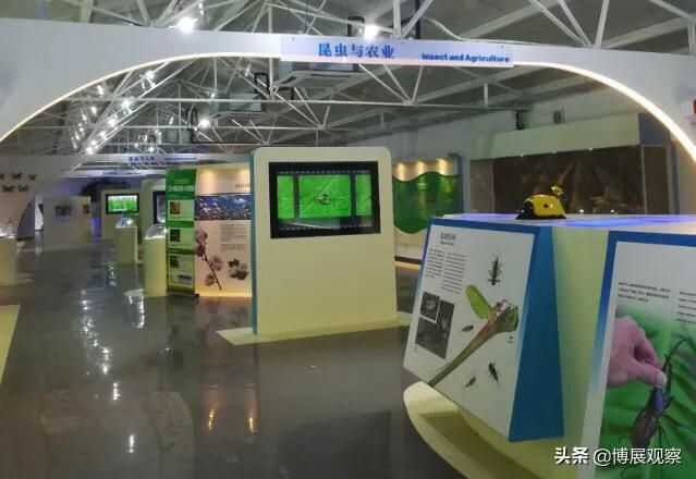 暑假去深圳哪个景点更好玩,暑假带孩子深圳必去的地方