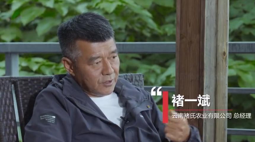 褚橙创始人褚时健在褚橙果园,褚橙集团现状