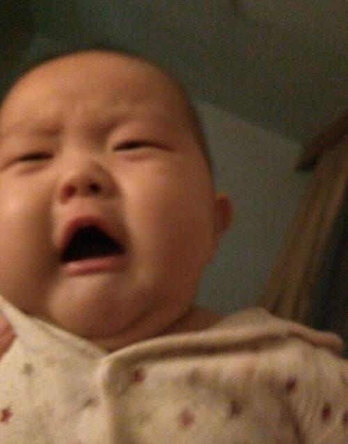 “小特务宝宝”和大爷对暗号火了,内心:队长别开枪,是我