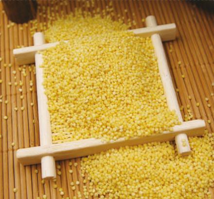 投资兴业沃土蕴藏无限商机——了解一下巴林左旗