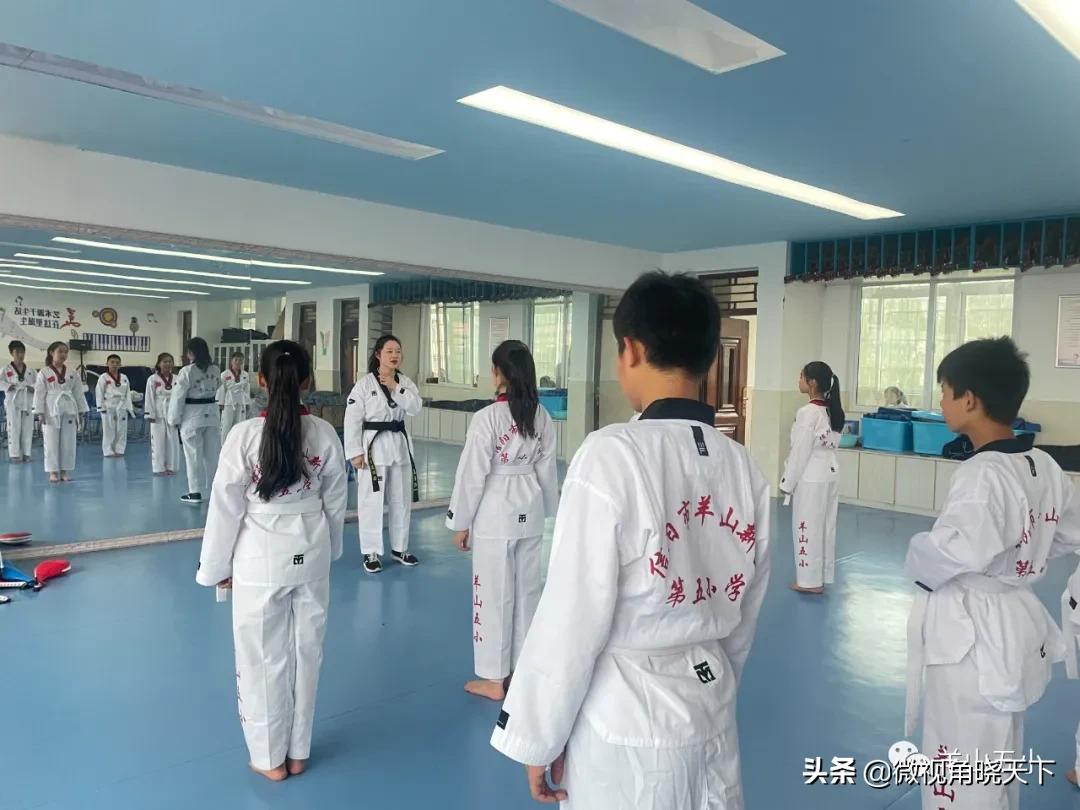 信阳铭扬跆拳道,信阳铭扬武道馆