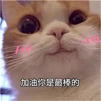 苏卫新生报到视频,苏州百晓生最新视频